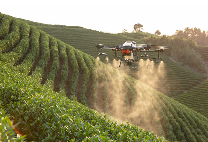 植保無人機助力茶園解決防治難題(圖1)