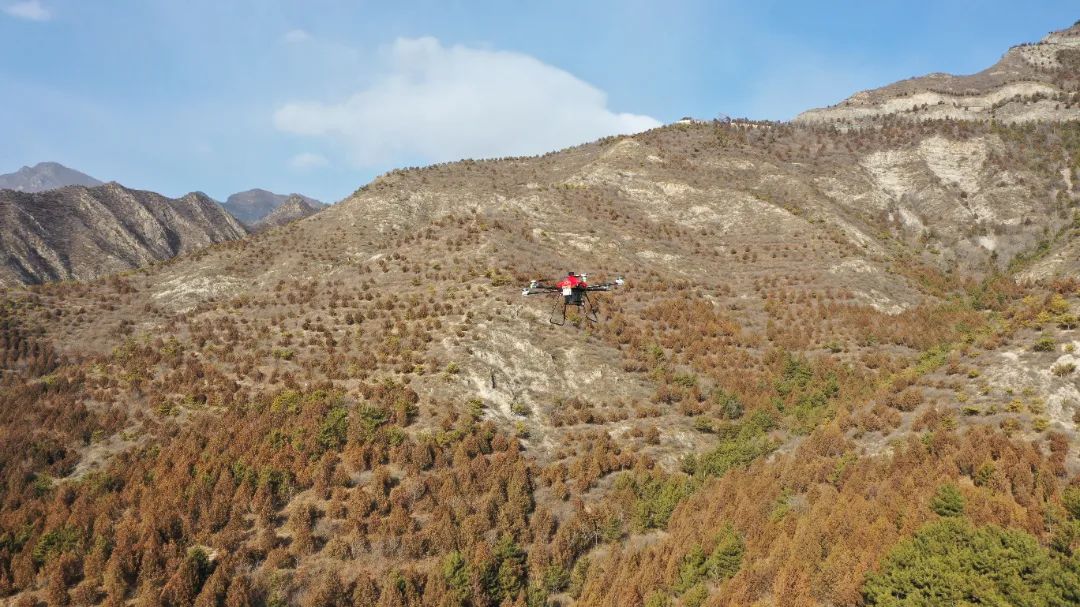 北京延慶首個無人機(jī)智能應(yīng)用場景投產(chǎn) 為森林防火再添“空中力量”(圖1)
